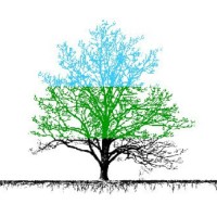 Urban Green Landscapes Ke logo - Similar company to Planning Systems Services (Ltd)