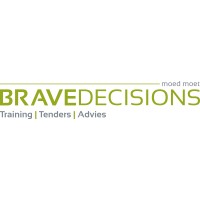 Brave Decisions logo - Similar company to Brave & Boost