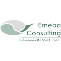 Emeba Consulting logo - Similar company to Skpro