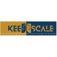 KeeScale logo - Similar company to Visual Engineering