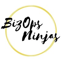 BizOps Ninjas LLC logo - Similar company to The L.S.H.O. Art Gallery