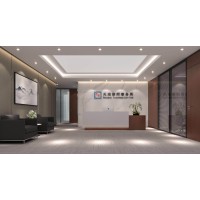 Law View Partners 天尚律师事务所 logo - Similar company to Centre For Policy & Legislative Drafting Studies