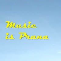 Music is Prana logo - Similar company to Music & Business®