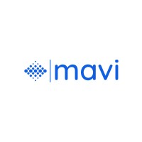 Mavi Group Singapore logo - Similar company to Mavi Holding