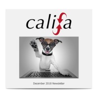 Califa Group logo - Similar company to Library Arcade