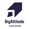 BigAttitude logo - Similar company to Amory Academy