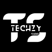 Techzy Studio - Digital Marketing Agency logo - Similar company to Digirivera_Digital Marketing Agency