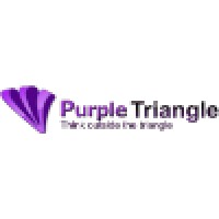 Purple Triangle Ltd logo - Similar company to Icore Fusion