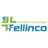 Fellinco Consultancy en Opleidingen logo - Similar company to Sportief Capelle