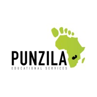 Punzila Educational Services logo - Similar company to Kaleni Technologies