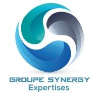 Groupe Synergy Expertises logo - Similar company to Koudepouce
