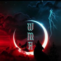 Wolfs Marketing & Advertising logo - Similar company to H&N Marketing & Advertising