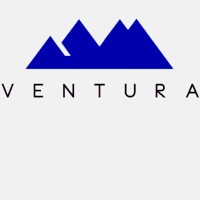 Ventura Partners, Inc. logo - Similar company to Mobility Advisory Services