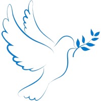 Dove Solutions logo - Similar company to Duolution Studio