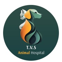 TVS Hospitals logo - Similar company to Dmaster