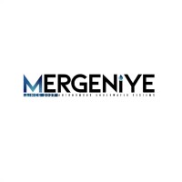 Mergeniye logo - Similar company to Vidinsight