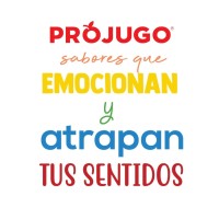 PROJUGO logo - Similar company to Corporación Fabpsa
