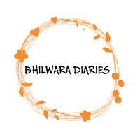 Bhilwara Diaries logo - Similar company to Bhilwara Times