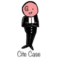 CiteCase logo - Similar company to 90Ndstoppage
