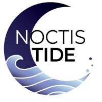 Noctis Tide Studios logo - Similar company to Triodoxic Digital Studios