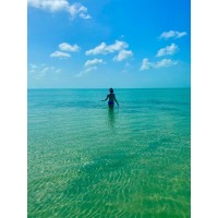 Wanderose Travel