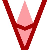 Verifereum logo - Similar company to Vierra Ventures