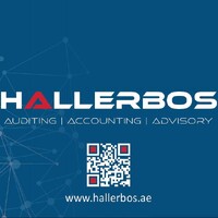 Hallerbos Auditing logo - Similar company to Way Forward Accounting & Auditing