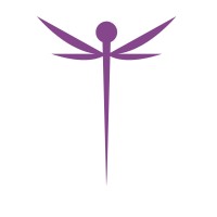 Dragonfly Accounting, LLC logo - Similar company to Vrsa Services