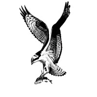 Osprey Hovercraft Ltd logo - Similar company to The British Hovercraft Company Ltd