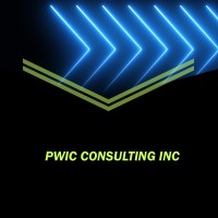 PWIC Consulting Inc logo - Similar company to Avialdo