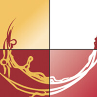 Sovisur logo - Similar company to Königstein