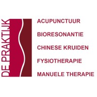 De Praktijk logo - Similar company to Fysio Care