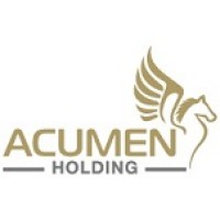 AcumenHolding logo - Similar company to Ansmee