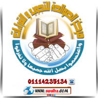 Al - Sawalha Institute logo - Similar company to Ayaatullah Institute