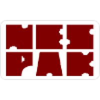 National Engineering Services Pakistan (Pvt) Limited (Nespak)