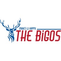 The Bigos logo - Similar company to Eldrive By Solarauto