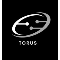 Torus Enterprise Solution logo - Similar company to Ifly Nepal
