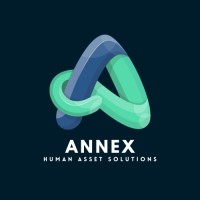 Annex Solutions logo - Similar company to Annex Consulting