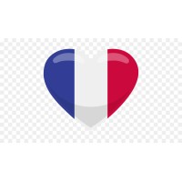 French Tutor Toronto logo - Similar company to Excel Learning