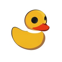 Duck Company logo - Similar company to Out West Trading Co