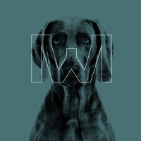 Weiman BI & AI Solutions logo - Similar company to De Hierro