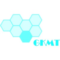 GKMT Consulting logo - Similar company to Insirima Gmbh