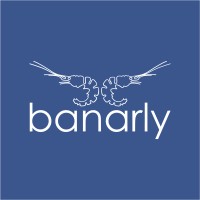 The Banarly Group logo - Similar company to Banarly Nigeria Ltd