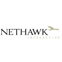 NetHawk Interactive, Inc. logo - Similar company to Nethawk Pvt Ltd