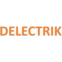 Delectrik Systems Private Limited logo - Similar company to Ossus Biorenewables