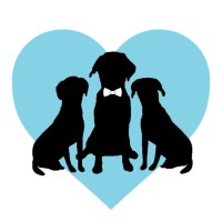 FairyTail Pet Care - Las Vegas logo - Similar company to 25/Eight