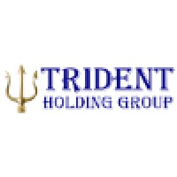 Trident Holding Group logo - Similar company to Domain Communities - Real Estate Investments