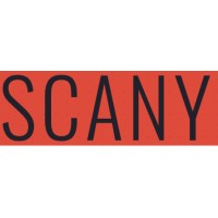 Scany.ge logo - Similar company to Cyber Wall