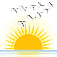 DBDA Solutions logo - Similar company to Tech Cover