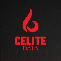 Celite Data logo - Similar company to Celite